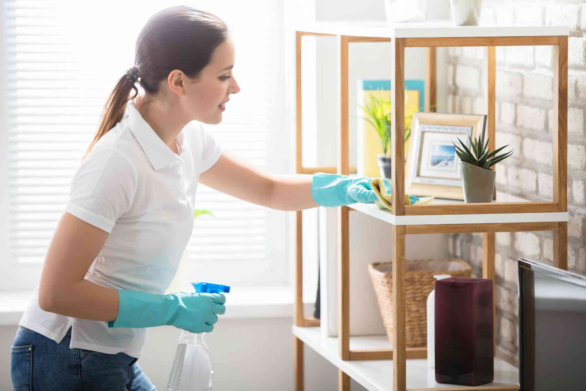 Top Tips for Cleaning and Organizing Your Home Efficiently.